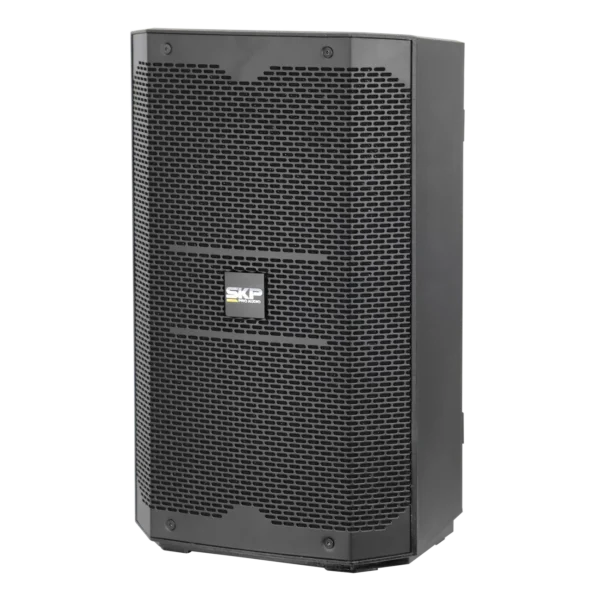 SKP DX10