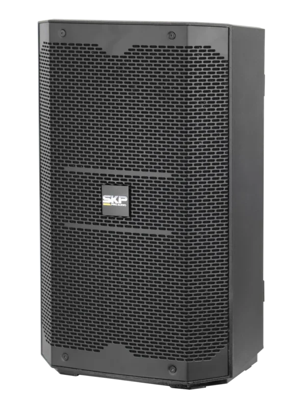 SKP DX10
