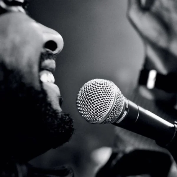 SHURE SM58-LC